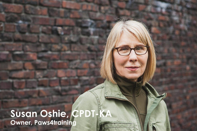 Interview with Susan Oshie, CPDT-KA & owner of Paws4Training