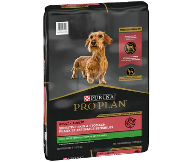 Specialized Small Breed Sensitive Skin Stomach Salmon Rice Dry