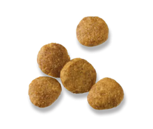 Load image into Gallery viewer, Development Chicken & Rice Dry Puppy Food