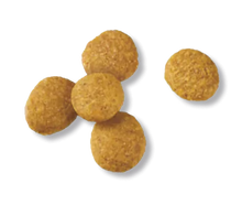 Load image into Gallery viewer, Development Large Breed Chicken & Rice Dry Puppy Food