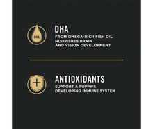 Load image into Gallery viewer, Development Sensitive Skin & Stomach Salmon & Rice Dry Puppy Food