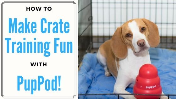How to Make Crate Training Fun with PupPod!