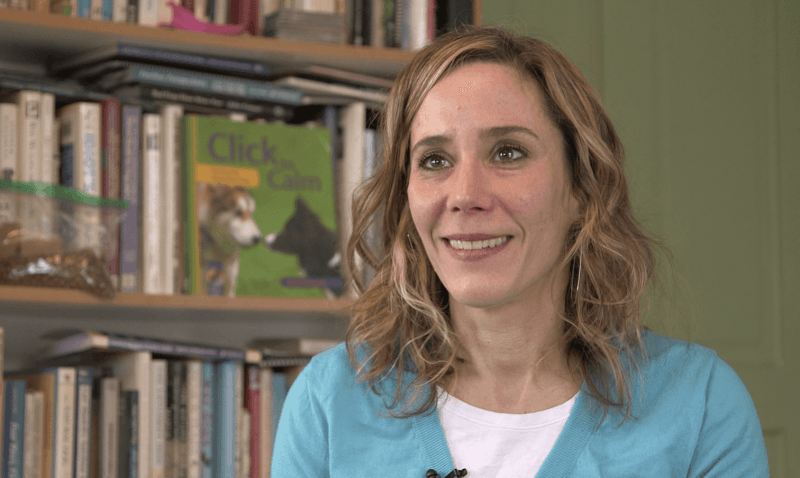 Interview with Danette Johnston, CPDT & Owner of Dog's Day Out – PupPod