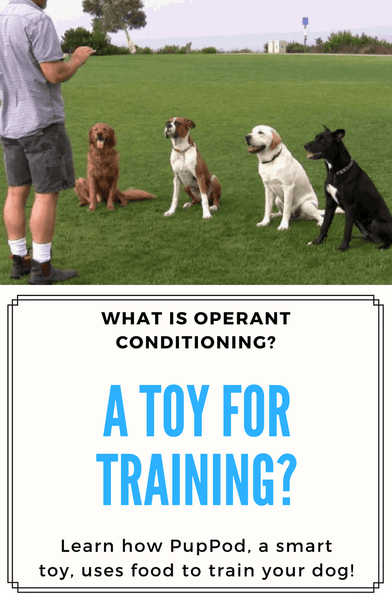 Operant Conditioning and Technology