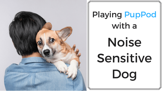 5 Tips for Playing PupPod with a Noise Sensitive Dog
