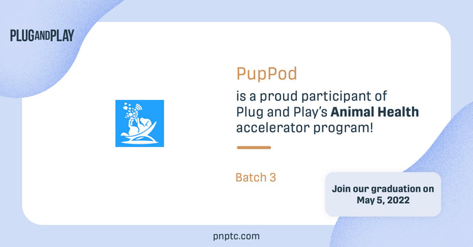PupPod selected for Plug and Play Animal Health accelerator