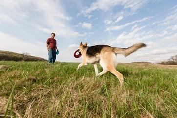 Four Surprising Benefits Humans Get from Dog Training
