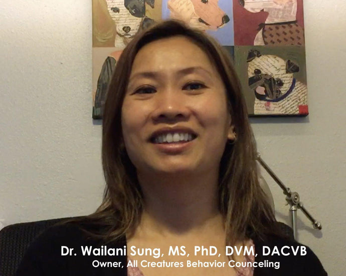 Interview with Dr. Wailani Sung, MS, PhD, DVM, DACVB