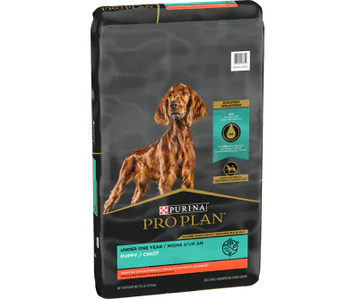 Development Sensitive Skin & Stomach Salmon & Rice Dry Puppy Food