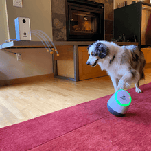 Load image into Gallery viewer, PupPod Rocker with Feeder Smart Dog Toys PupPod 
